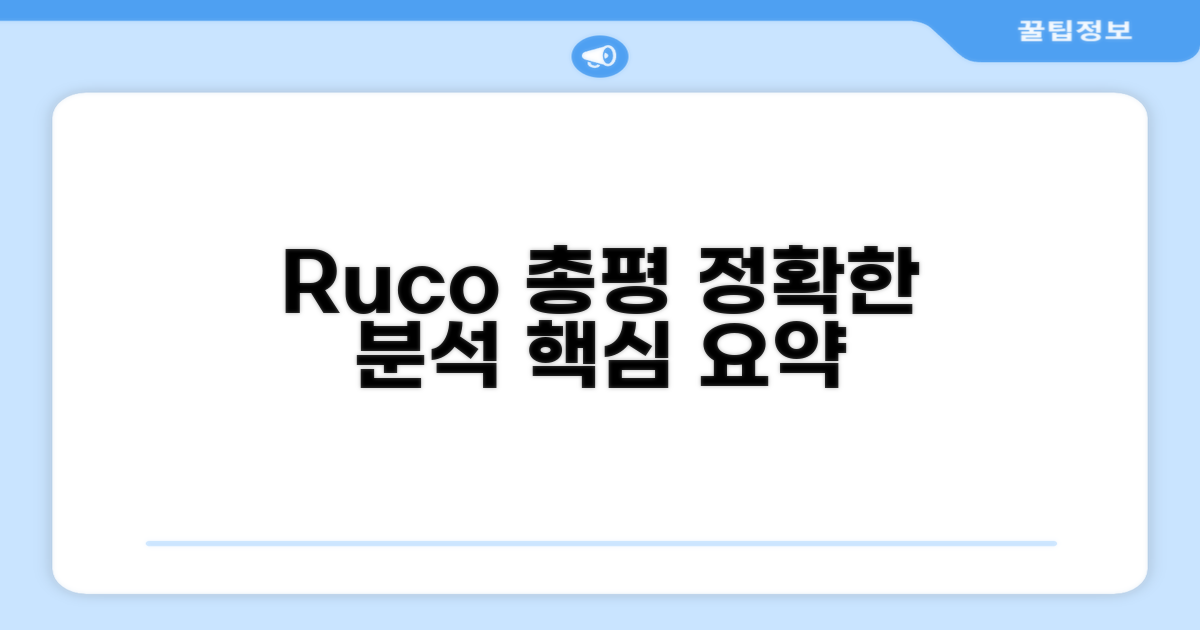 🎯 Ruco 총평