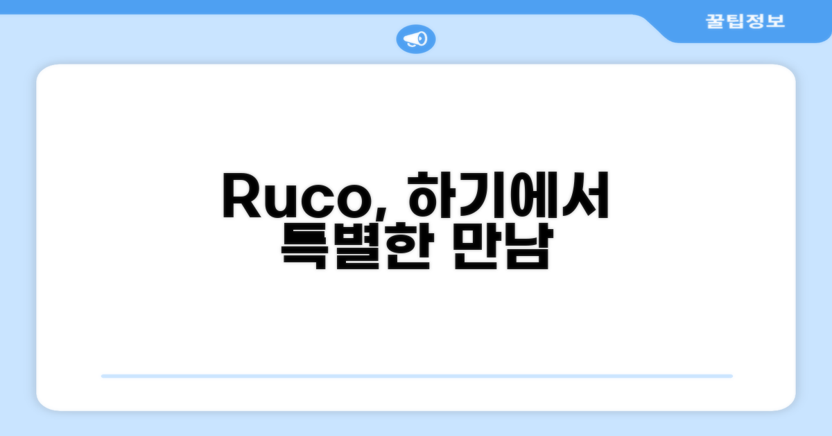 🌟 하기에서 만난 Ruco