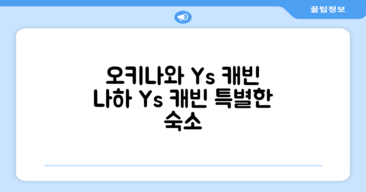 🌟 오키나와 본섬에서 만난 Y's 캐빈 앤 호텔 나하