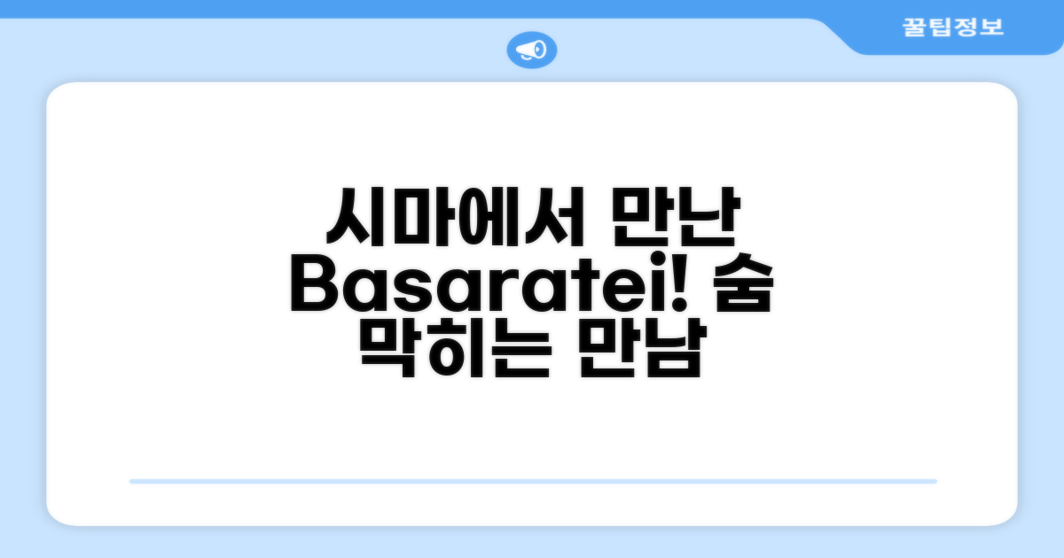 🌟 시마에서 만난 Basaratei