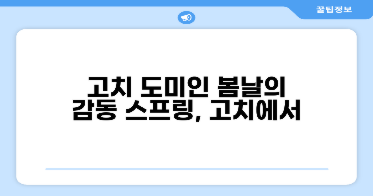 🌟 고치에서 만난 도미인 고치 스프링