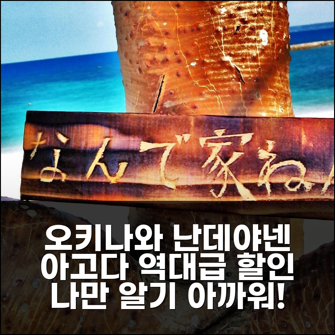 게스트하우스 난데야넨 오키나와 본섬 예약 후기앤 할인 정보