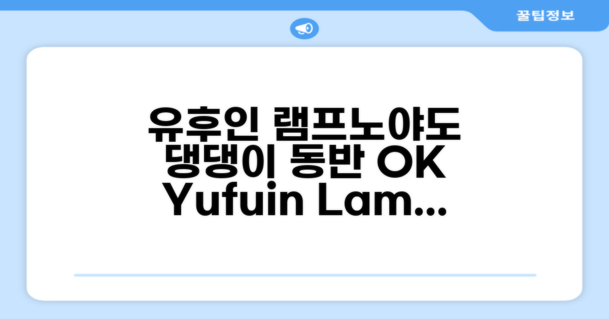🌟 유후에서 만난 유후인 램프 노 야도 반려동물 동반 가능 Yufuin Lamp No Yado