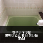 더 보헤미언즈 쉘터, 하쿠바 9.3점 빛나는 명소