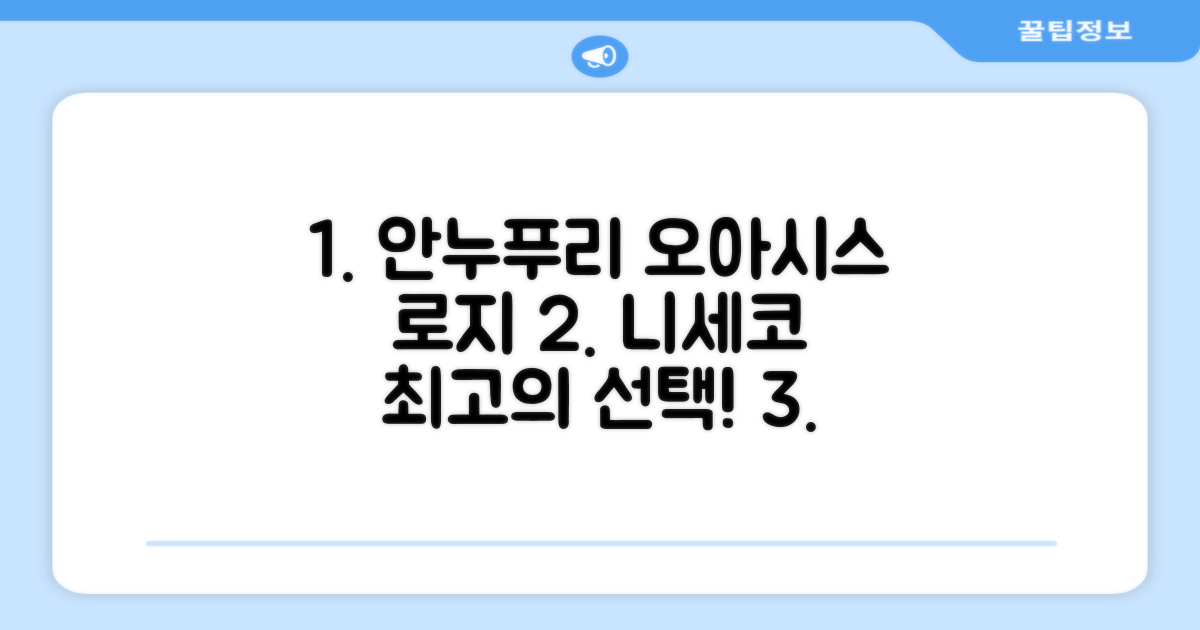 🎯 안누푸리 오아시스 로지, 니세코 최고의 선택! (9.4점)