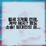 월세 연체 3개월 계약해지 | 월세 3개월 연체시 임대차계약 해지와 명도소송