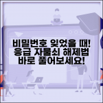 비밀번호 자물쇠 푸는법 응급 | 비밀번호 잊었을 때 자물쇠 여는 응급 방법과 재설정