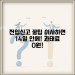 전입신고 하는 법 이사 필수 | 새 주소지 전입신고 14일 내 신고하고 과태료 피하기