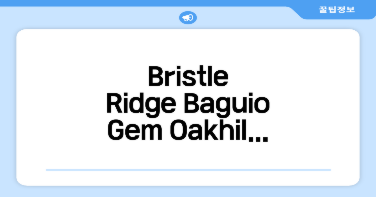 바기오의 매력적인 숙소, Bristle Ridge Residences - Oakhill