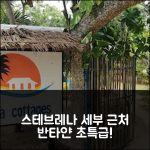 세부 공항 근처 반타얀 아일랜드 스테브레나 어코모데이션스 후기