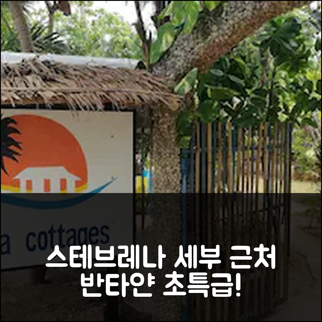 세부 공항 근처 반타얀 아일랜드 스테브레나 어코모데이션스 후기