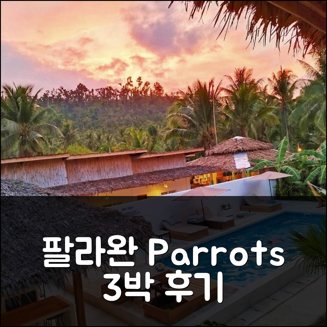 팔라완 공항 근처 패롯츠 부티크 리조트 3박 후기