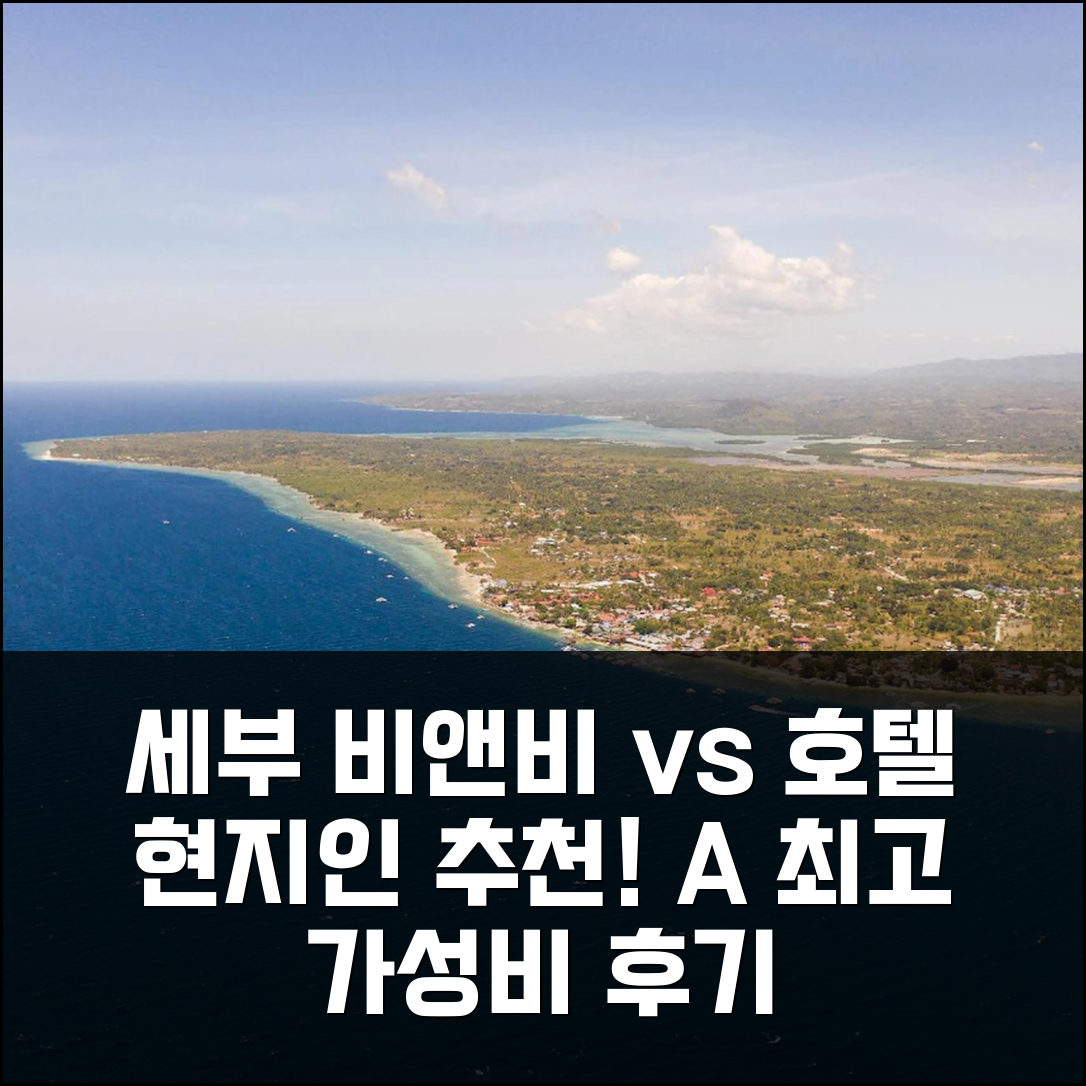 세부 아일랜드걸 비앤비 vs 다른 숙소? 현지인이 추천하는 진짜 후기