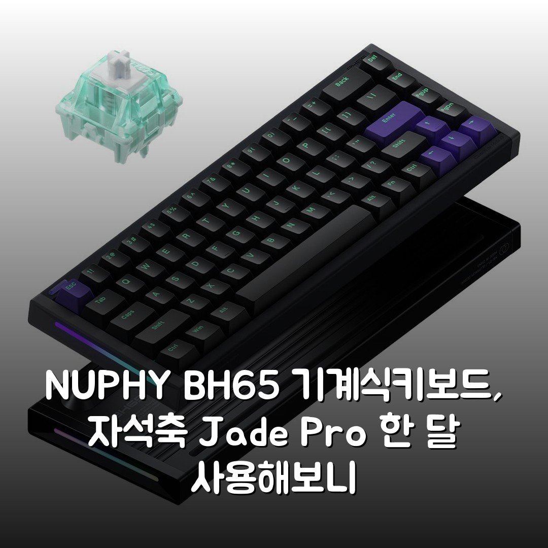 NUPHY BH65 기계식키보드, 자석축 Jade Pro 한 달 사용해보니